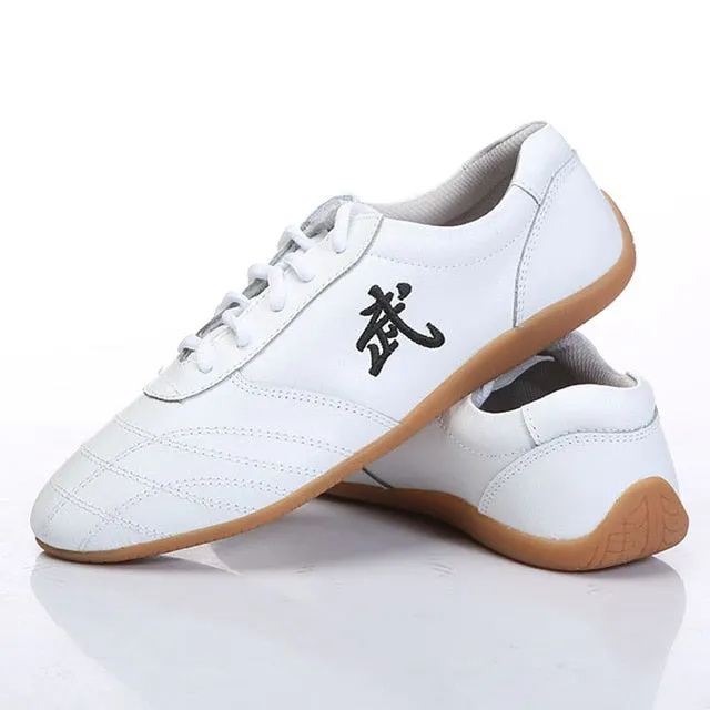 kids Chinese Martial arts wushu and Taichi shoes for Men and Women