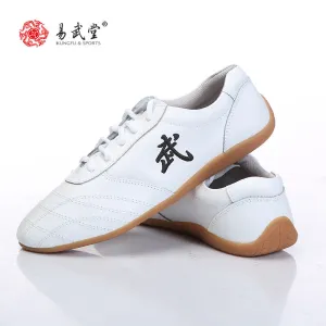 kids Chinese Martial arts wushu and Taichi shoes for Men and Women