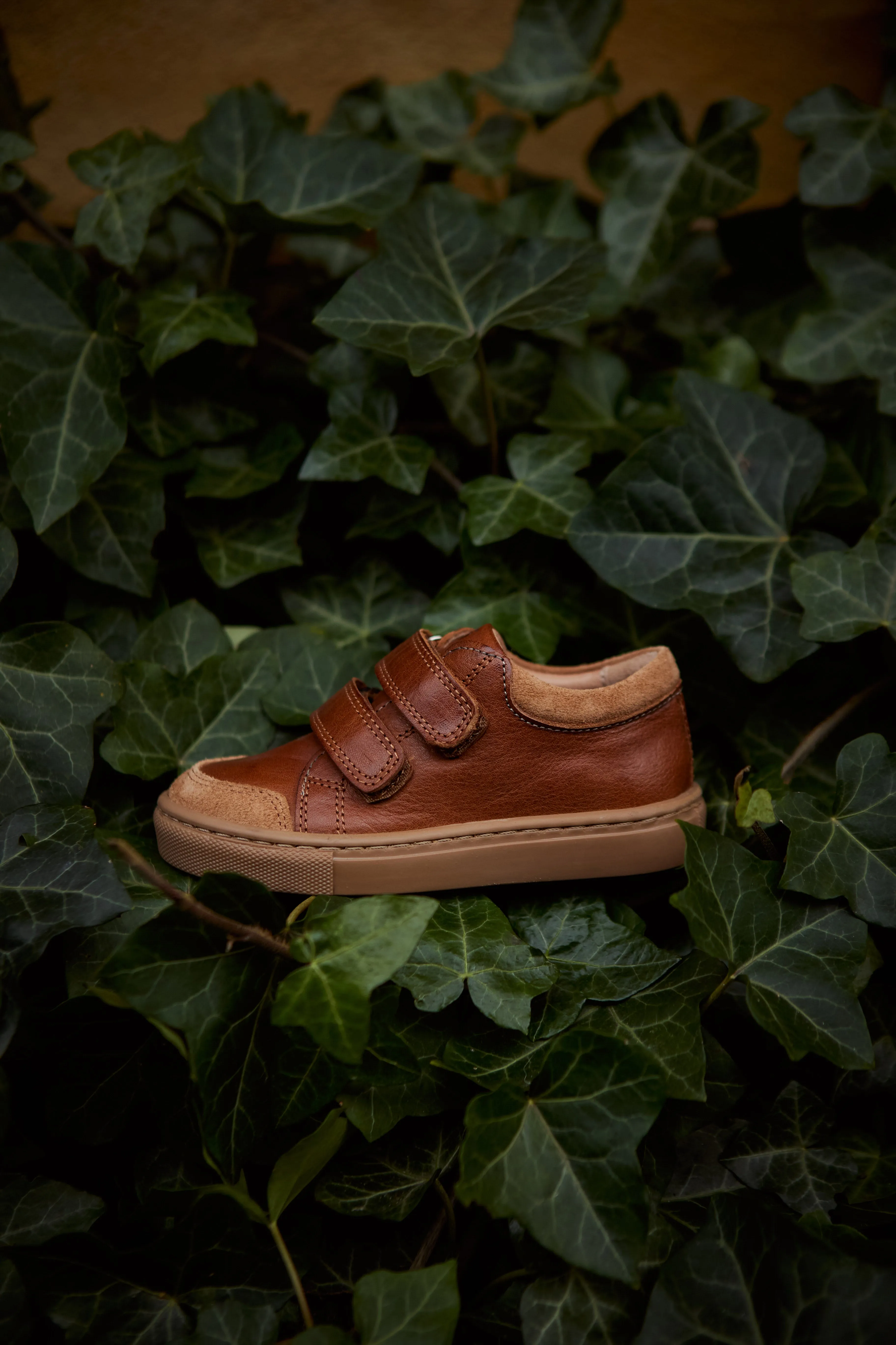 Low Sneaker - Cognac